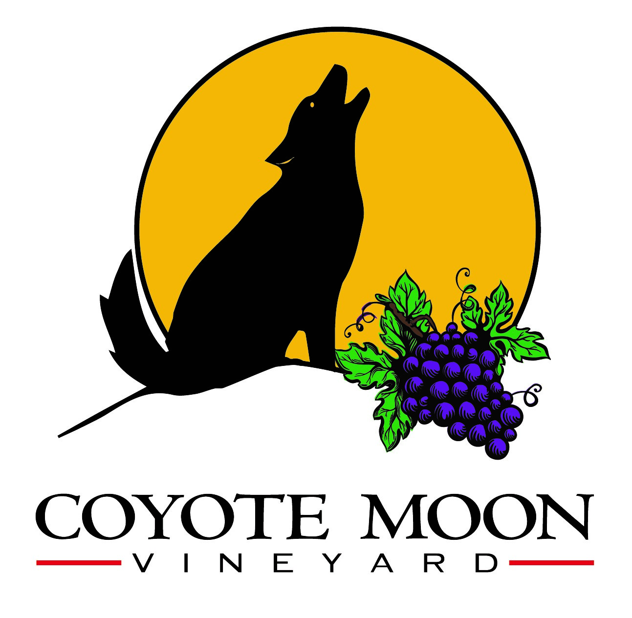Coyote Moon Vineyard